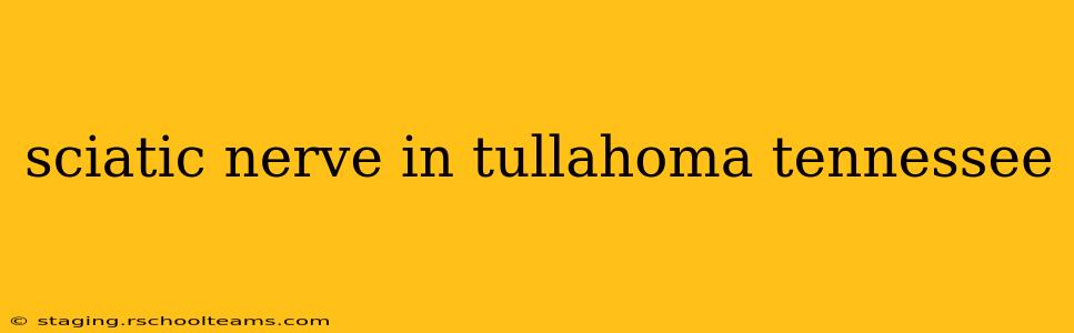 sciatic nerve in tullahoma tennessee