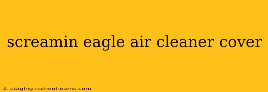 screamin eagle air cleaner cover