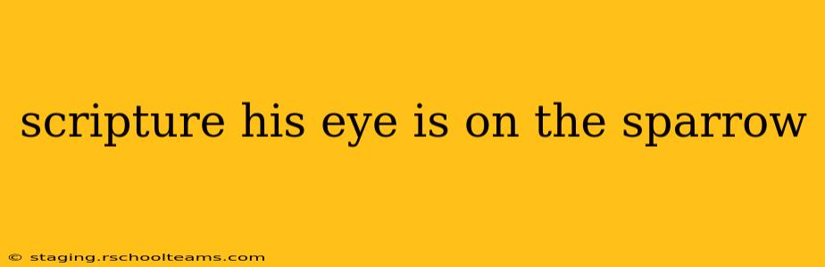 scripture his eye is on the sparrow