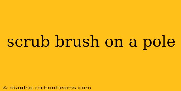 scrub brush on a pole