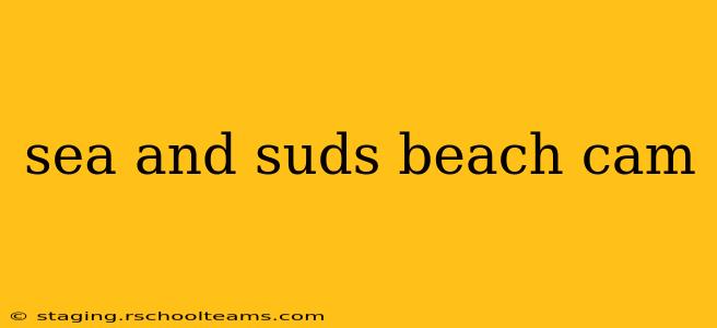 sea and suds beach cam
