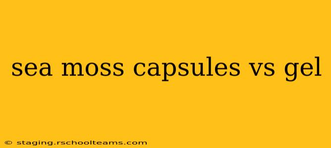 sea moss capsules vs gel