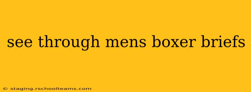 see through mens boxer briefs