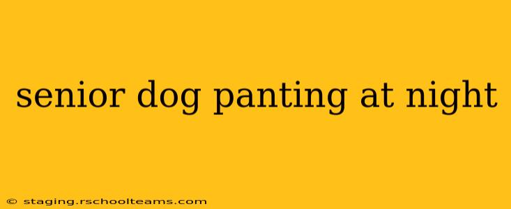 senior dog panting at night