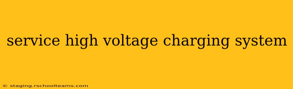 service high voltage charging system
