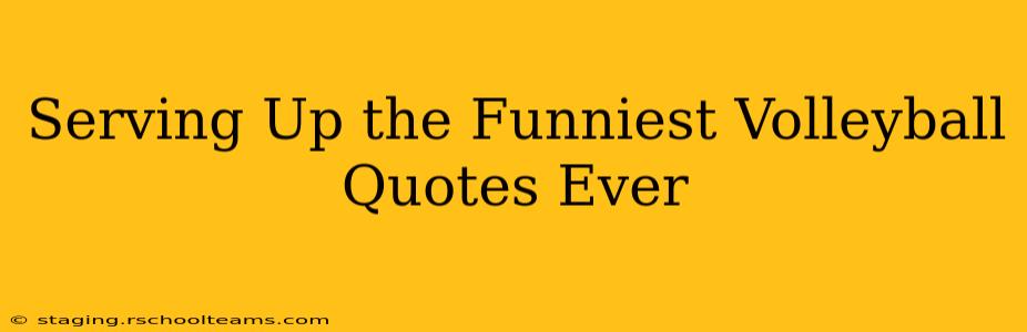 Serving Up the Funniest Volleyball Quotes Ever