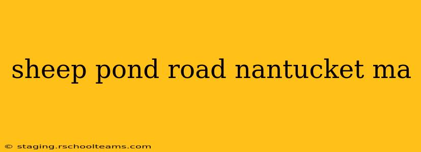 sheep pond road nantucket ma
