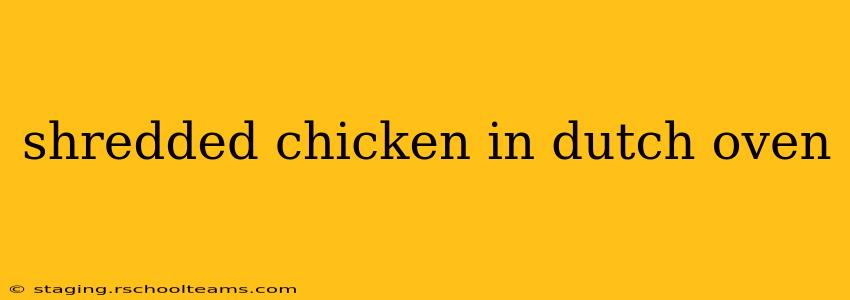 shredded chicken in dutch oven