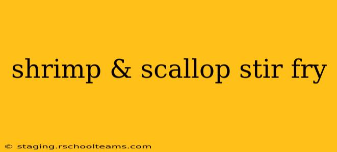 shrimp & scallop stir fry