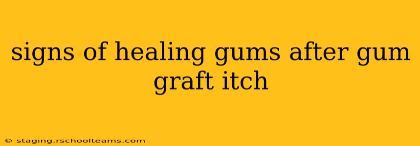 signs of healing gums after gum graft itch