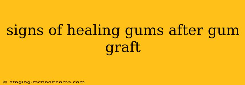 signs of healing gums after gum graft