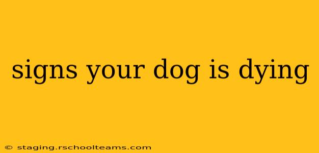 signs your dog is dying