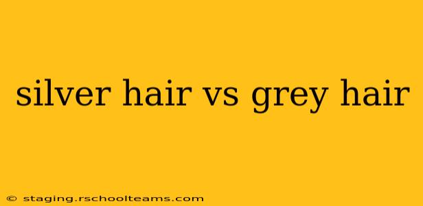 silver hair vs grey hair