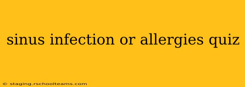 sinus infection or allergies quiz