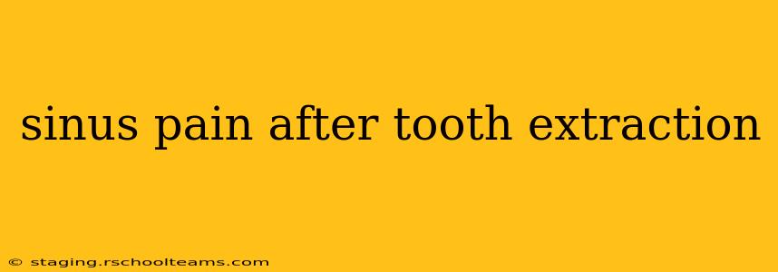 sinus pain after tooth extraction