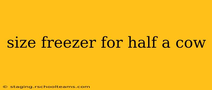 size freezer for half a cow