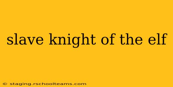 slave knight of the elf