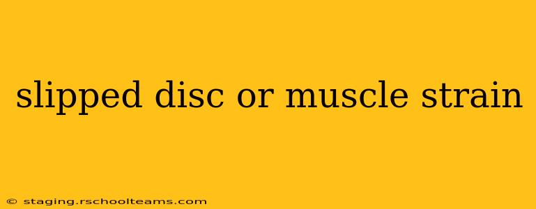 slipped disc or muscle strain