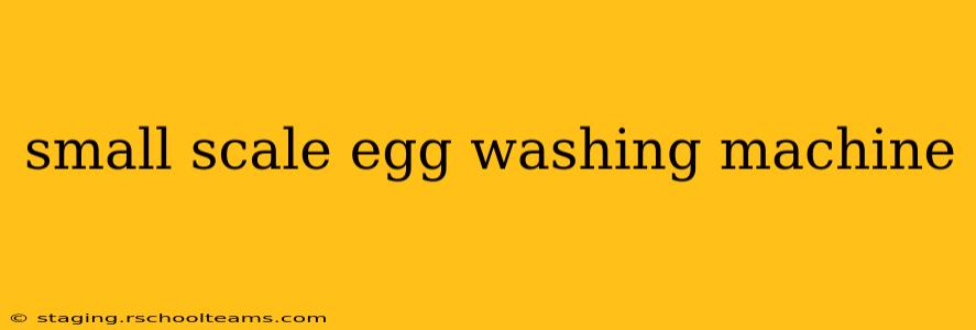 small scale egg washing machine