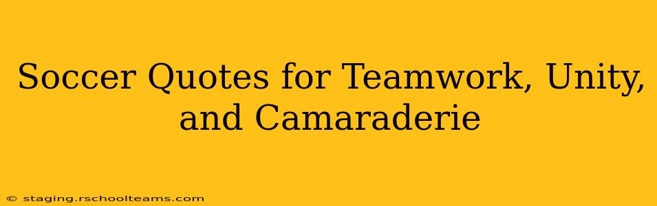 Soccer Quotes for Teamwork, Unity, and Camaraderie