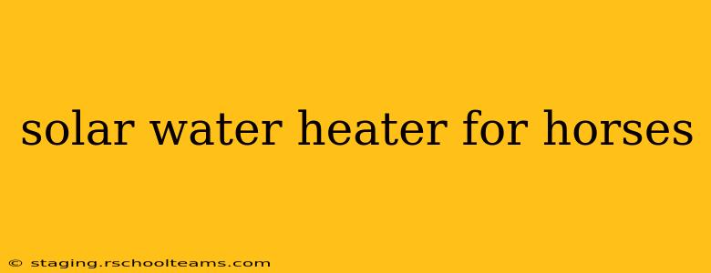 solar water heater for horses
