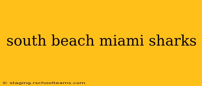 south beach miami sharks