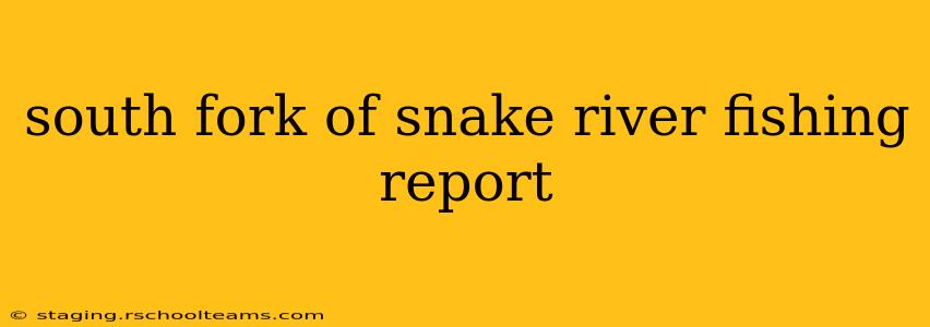 south fork of snake river fishing report