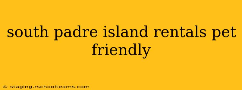 south padre island rentals pet friendly