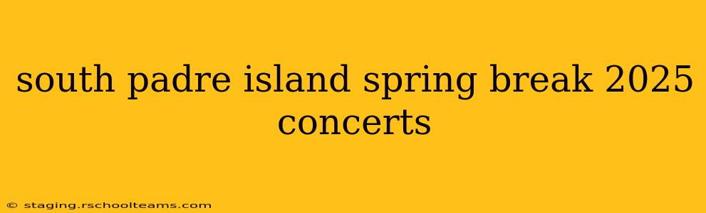 south padre island spring break 2025 concerts