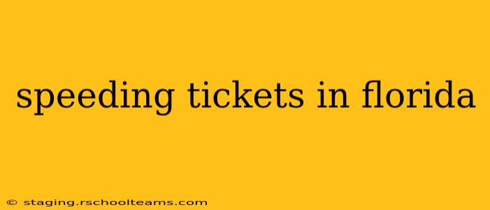 speeding tickets in florida