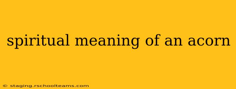 spiritual meaning of an acorn