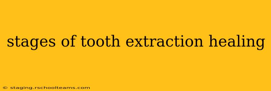 stages of tooth extraction healing