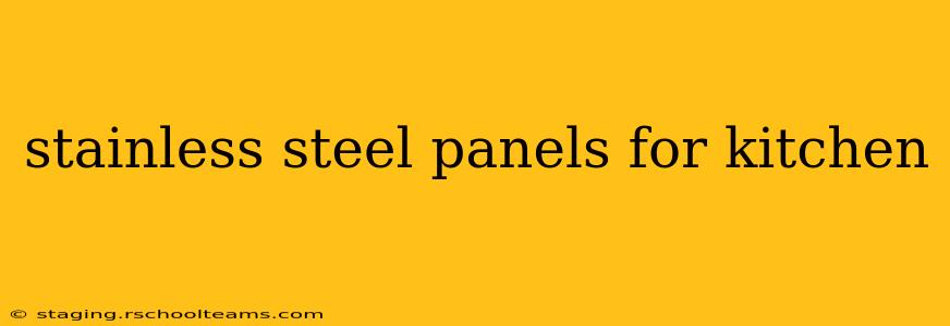 stainless steel panels for kitchen