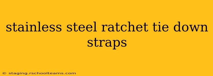 stainless steel ratchet tie down straps