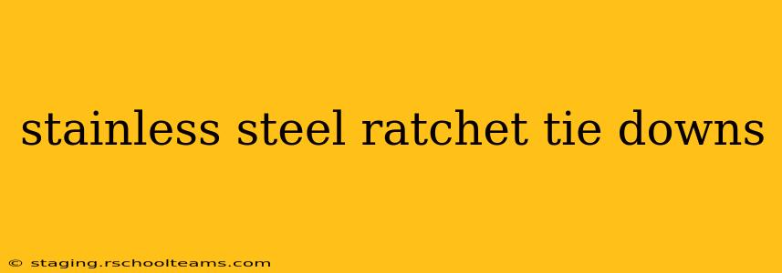 stainless steel ratchet tie downs