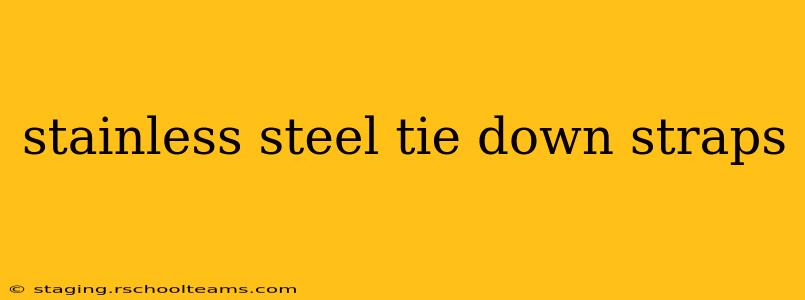 stainless steel tie down straps