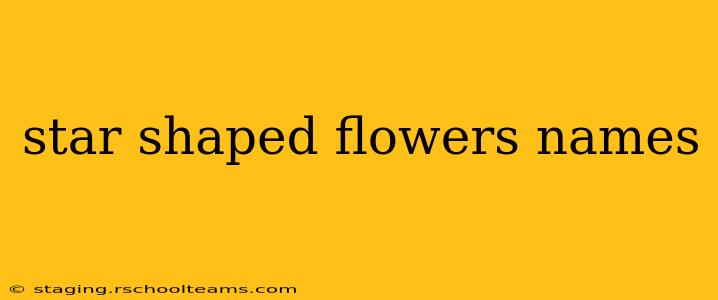 star shaped flowers names