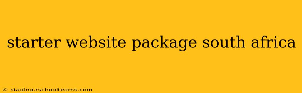 starter website package south africa