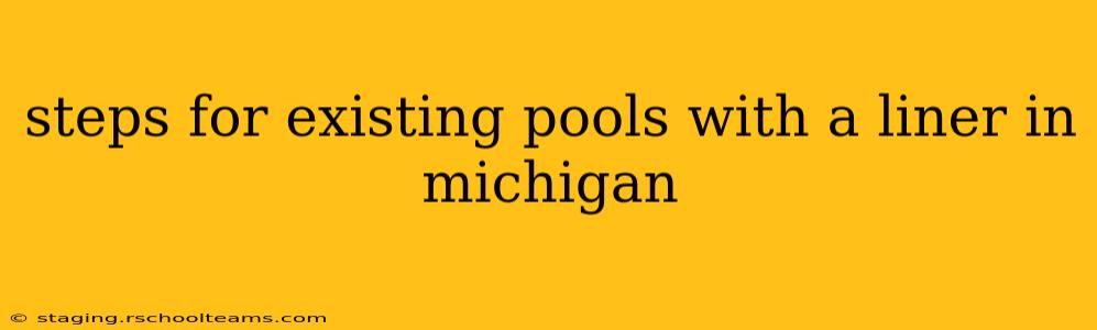 steps for existing pools with a liner in michigan