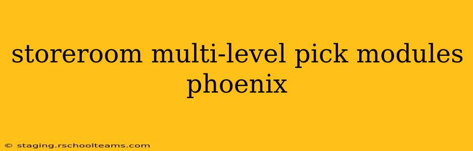 storeroom multi-level pick modules phoenix