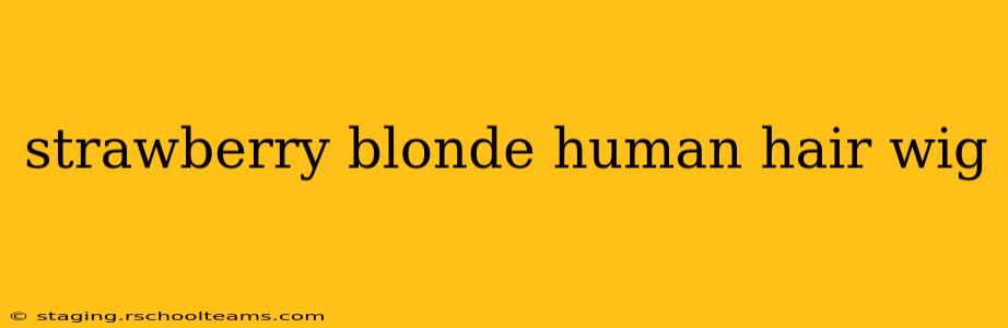 strawberry blonde human hair wig