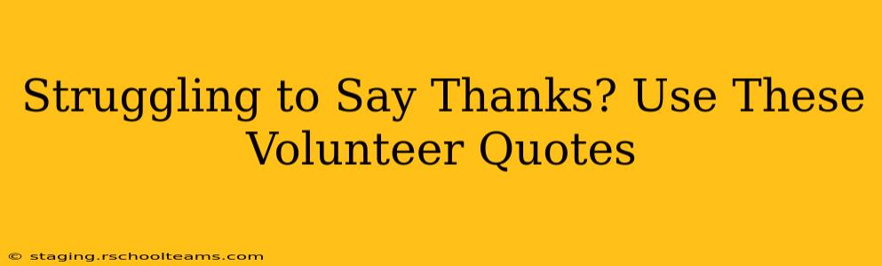 Struggling to Say Thanks? Use These Volunteer Quotes