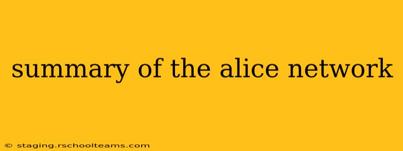 summary of the alice network