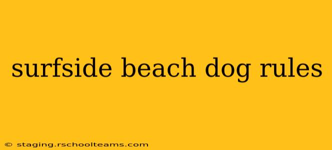 surfside beach dog rules