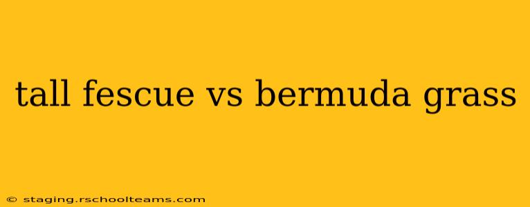 tall fescue vs bermuda grass