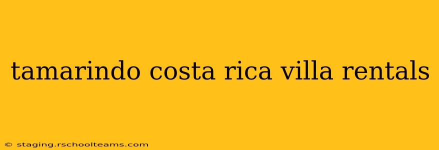 tamarindo costa rica villa rentals