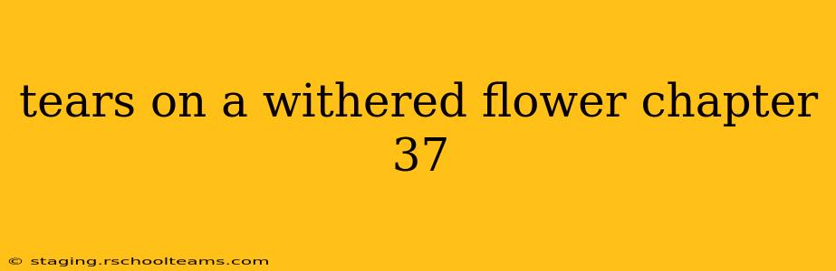 tears on a withered flower chapter 37