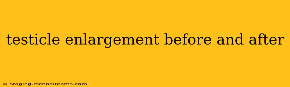 testicle enlargement before and after