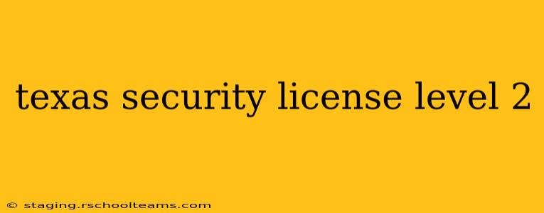 texas security license level 2