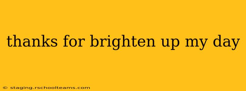 thanks for brighten up my day thanks for brighten up my day